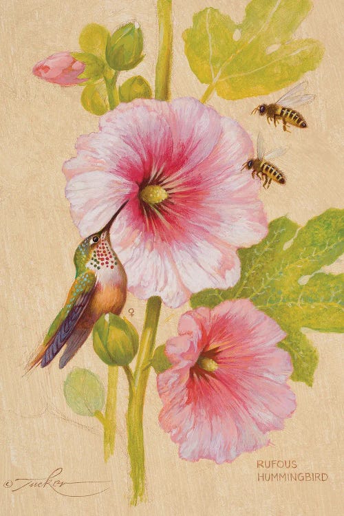 Rufous Hummingbird (F) & Honey Bees by Ezra Tucker wall art