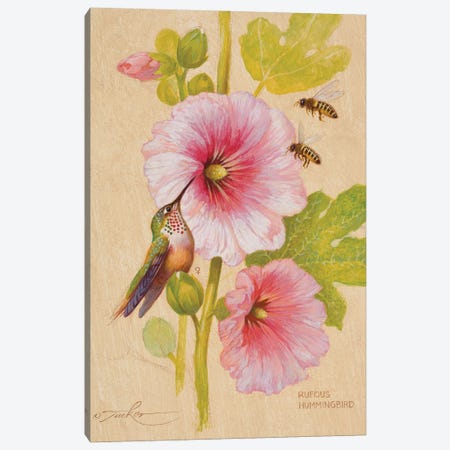 Rufous Hummingbird (F) & Honey Bees Canvas Print #EZT50} by Ezra Tucker Canvas Art Print