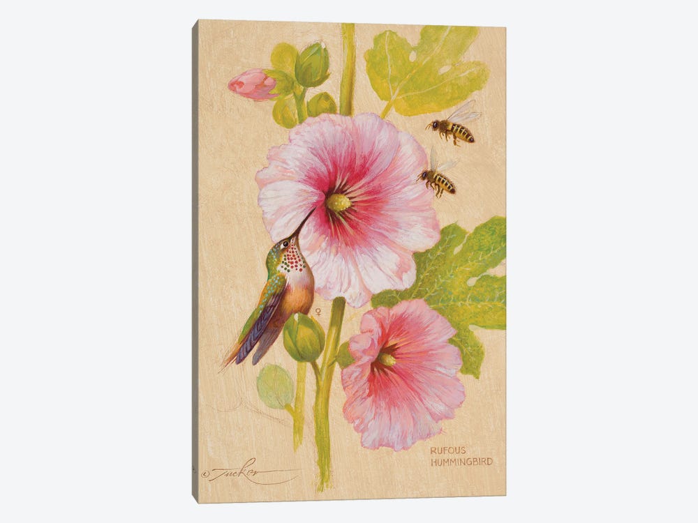 Rufous Hummingbird (F) & Honey Bees by Ezra Tucker 1-piece Canvas Artwork