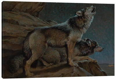 Scent Of Man-Night Watchers Canvas Art Print - Wolf Art