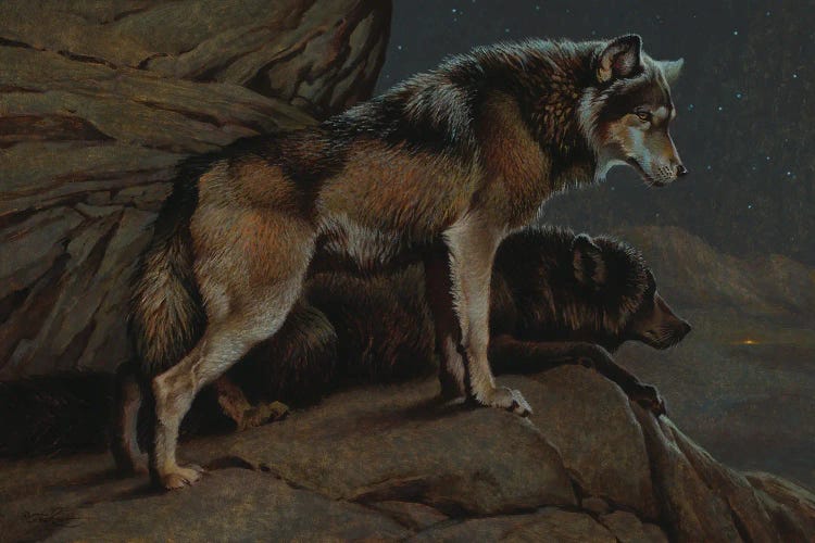 Scent Of Man- Wolves At Night by Ezra Tucker wall art