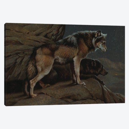 Scent Of Man- Wolves At Night Canvas Print #EZT52} by Ezra Tucker Canvas Print