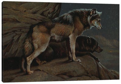 Scent Of Man- Wolves At Night Canvas Art Print - Wolf Art