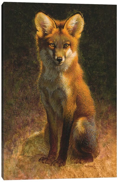 Sitting Pretty Canvas Art Print - Fox Art