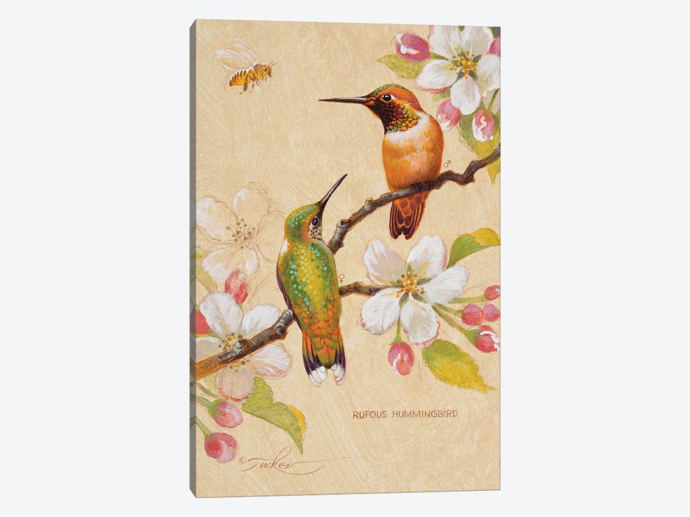 Roufous Hummingbirds III by Ezra Tucker 1-piece Art Print