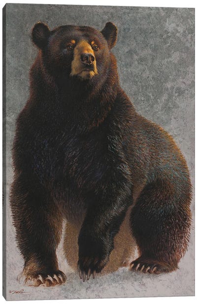 Something Is In The Air Canvas Art Print - Black Bears