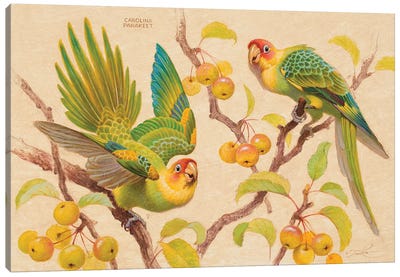 Tart Treats Canvas Art Print - Parakeet Art