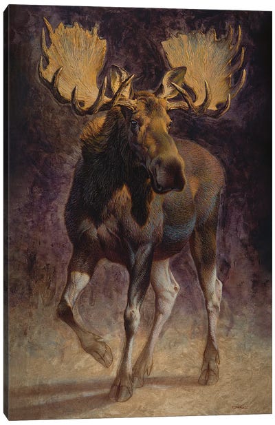 Teton Canvas Art Print - Moose Art
