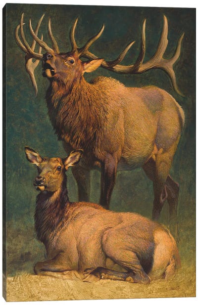American Nobility Canvas Art Print - Elk Art