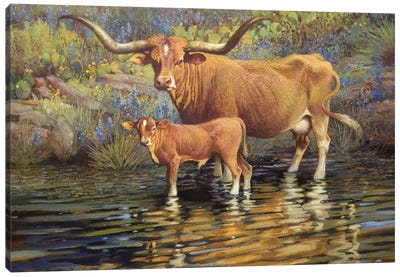 Texas Reflection Canvas Art Print - Golden Hour Animals