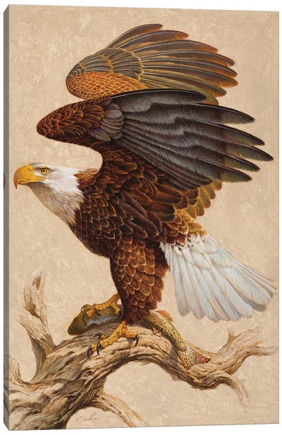 The Bold & The Brave Canvas Art Print - Eagle Art