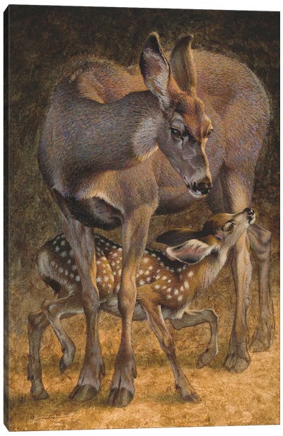 Under The Bridge Canvas Art Print - Deer Art