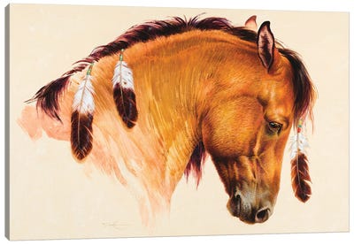 War Horse XII Canvas Art Print - Feather Art