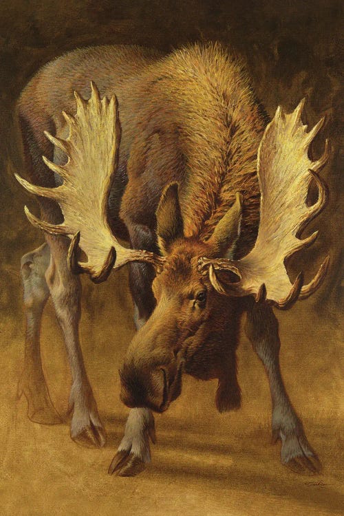 Yellowstone Moose by Ezra Tucker wall art