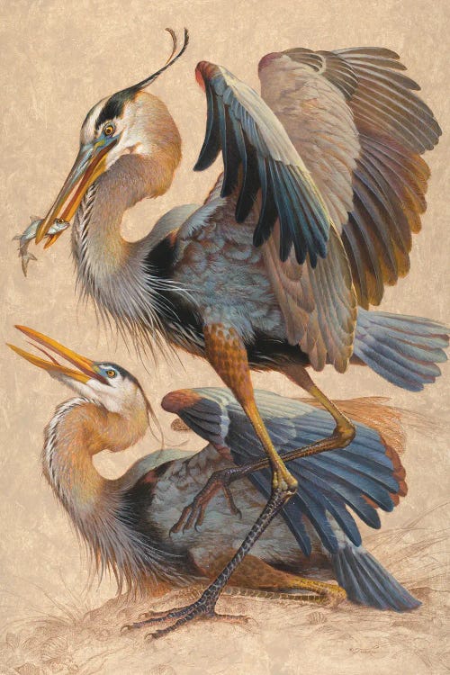 Great Blue Herons by Ezra Tucker wall art