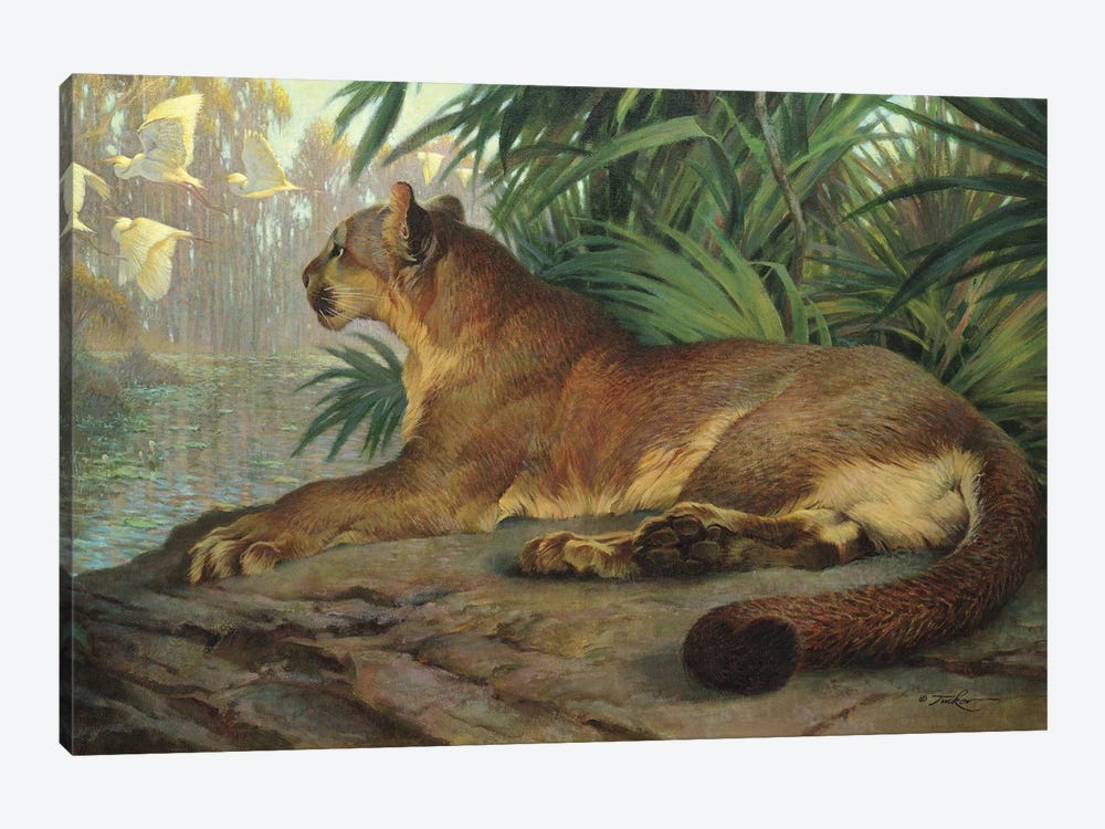 Lion And Egrets by Ezra Tucker 1-piece Canvas Wall Art