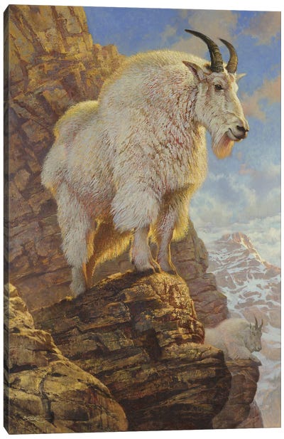 Above The Peaks Canvas Art Print - Golden Hour Animals