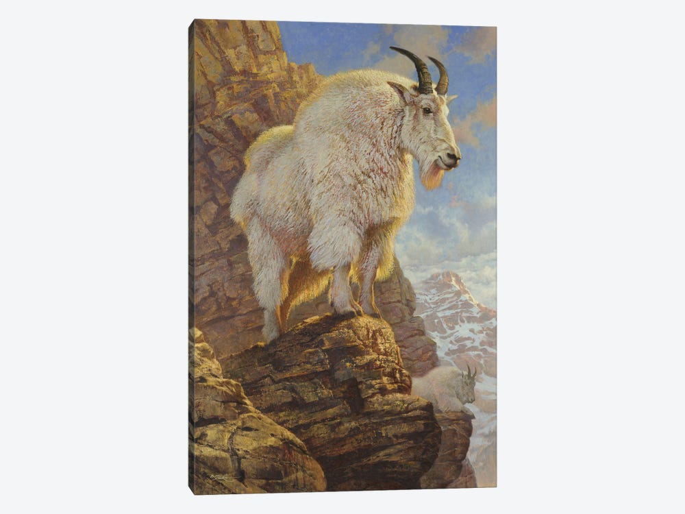 Above The Peaks by Ezra Tucker 1-piece Canvas Print