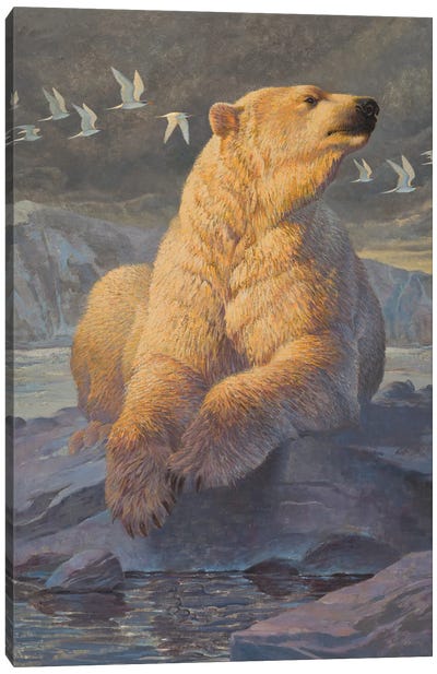 Calm Before The Storm Canvas Art Print - Polar Bear Art