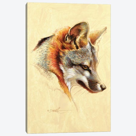 Gray Fox Portrait Canvas Print #EZT88} by Ezra Tucker Canvas Art
