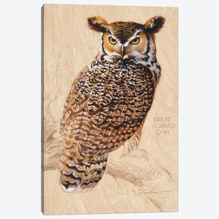 Great Horned Owl Canvas Print #EZT89} by Ezra Tucker Canvas Wall Art