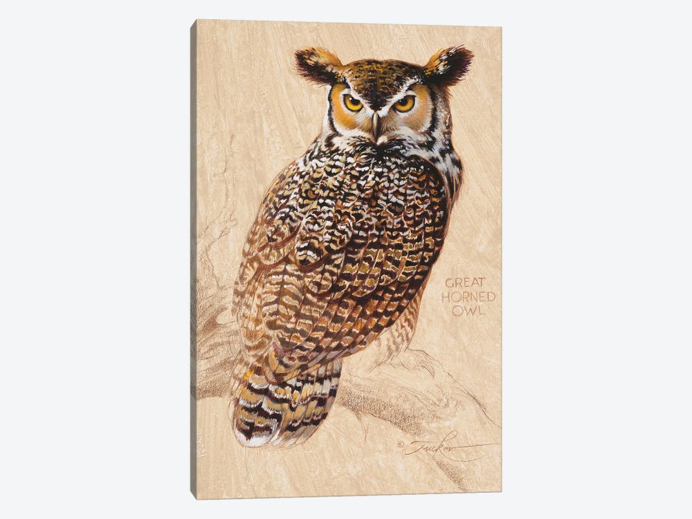 Great Horned Owl by Ezra Tucker 1-piece Canvas Art