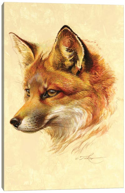 Red Fox Portrait Canvas Art Print - Ezra Tucker