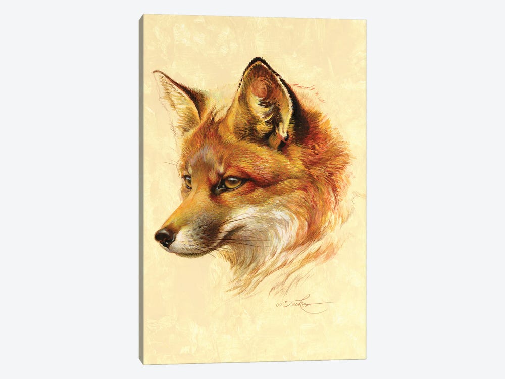 Red Fox Portrait by Ezra Tucker 1-piece Art Print