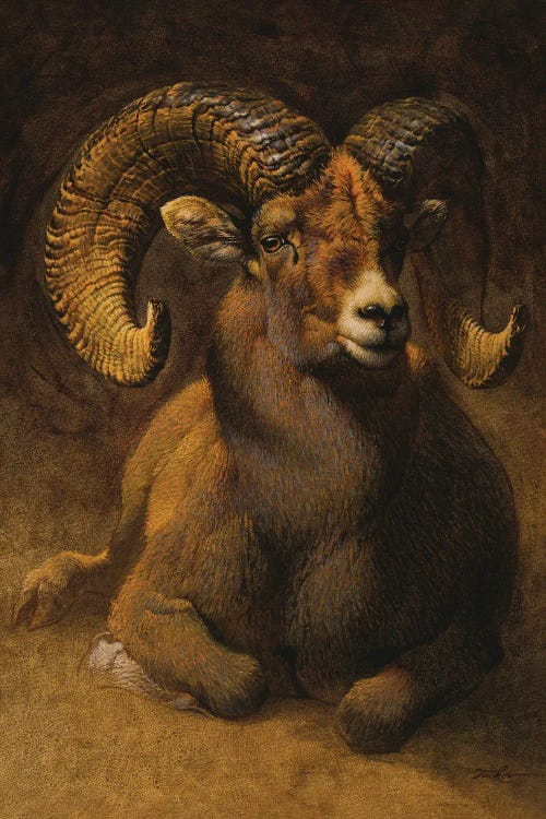 Rocky Mountain Ram