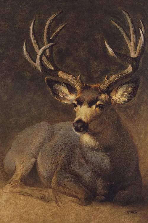 Winter Grey Buck by Ezra Tucker wall art