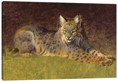 Woodland Sphinx Canvas Art Print - Golden Hour Animals