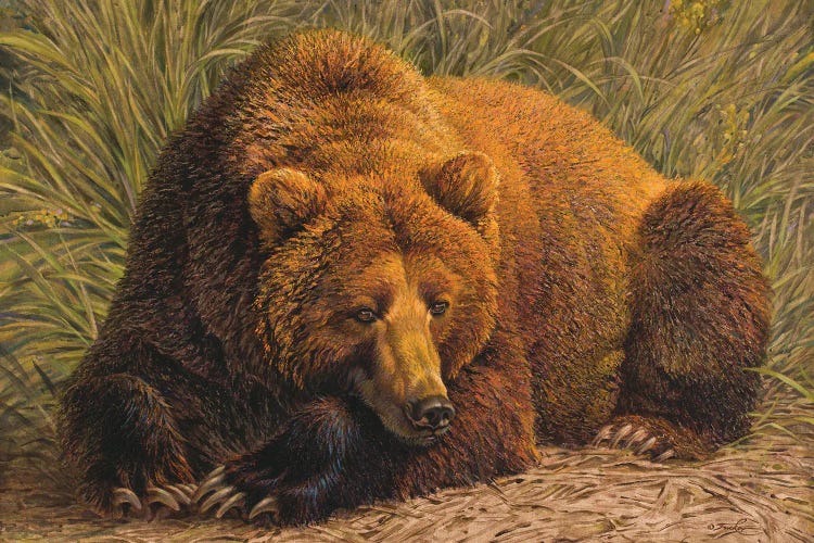 Bearly Awake by Ezra Tucker wall art