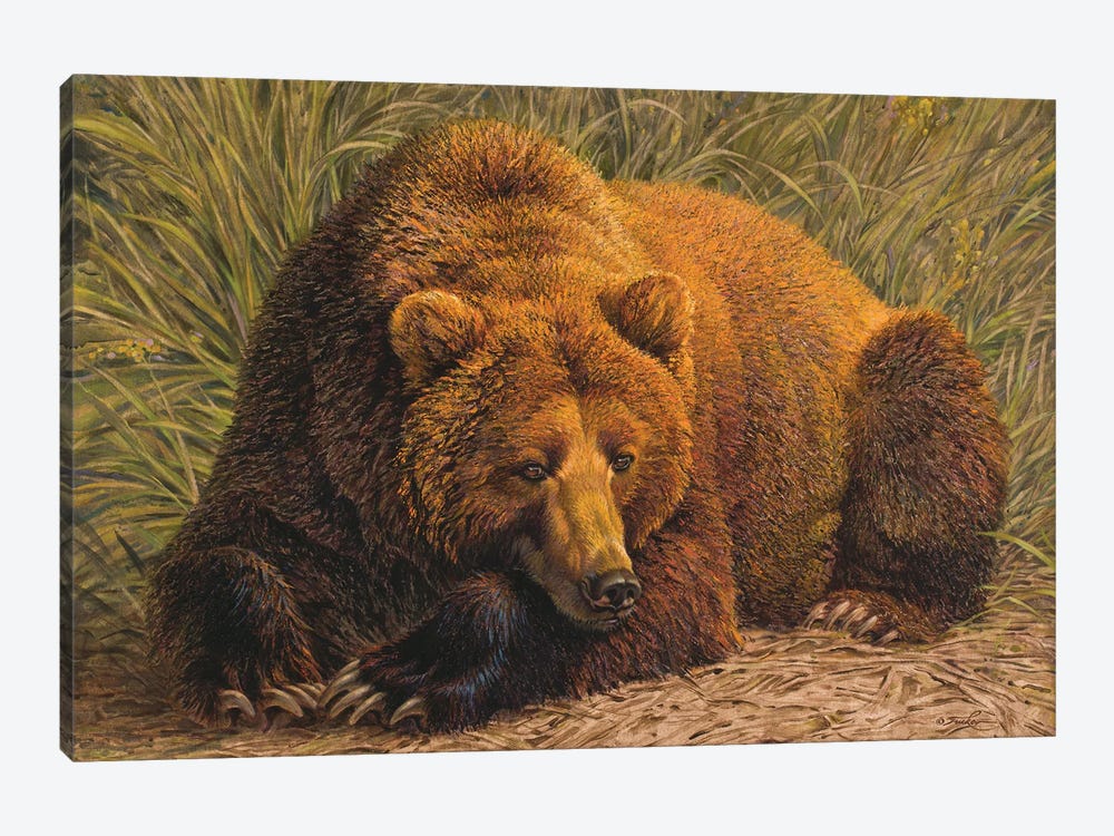 Bearly Awake by Ezra Tucker 1-piece Canvas Art Print