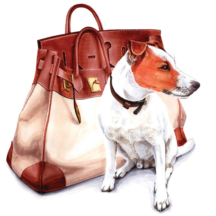 Jack Russel With Hermes Bag