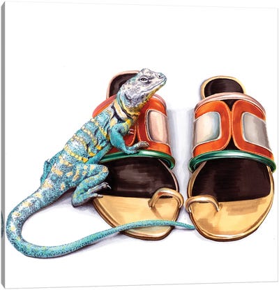 Lizard On Pier Hardy Shoes Canvas Art Print - Art Gifts for Her