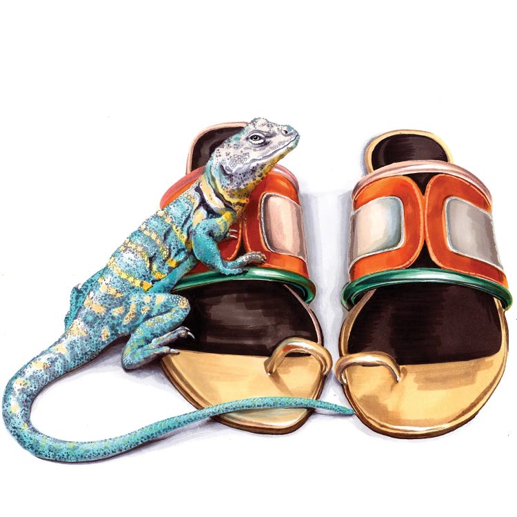 Lizard On Pier Hardy Shoes