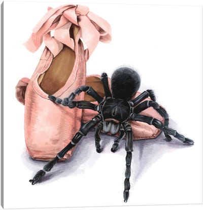 Pointe Shoes And Tarantul Canvas Art Print - Spider Art