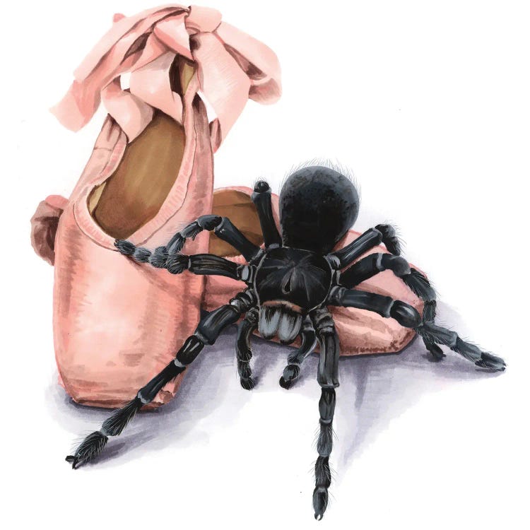 Pointe Shoes And Tarantul by Elizaveta Molchanova wall art