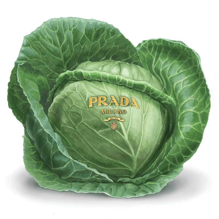 Prada Cabbage