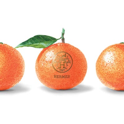 Elizaveta Molchanova