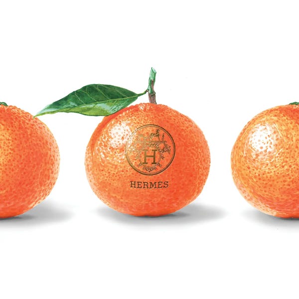 Fashion Is Life: Hermes Orange by Elizaveta Molchanova