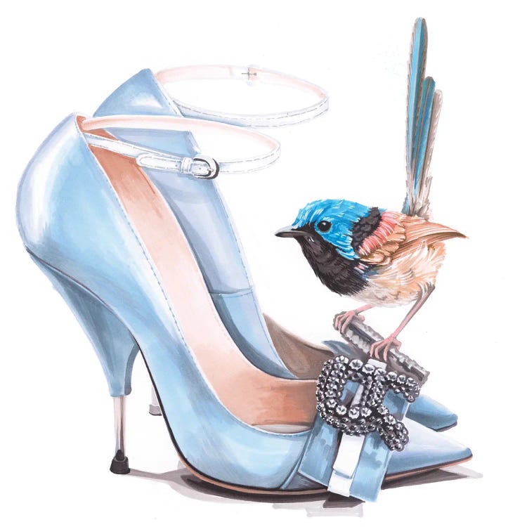 Fairy Wren On Rochas Shoes