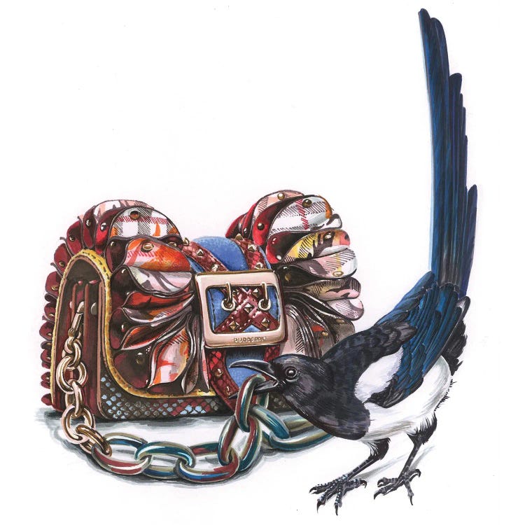 Magpie With Burberry Bag