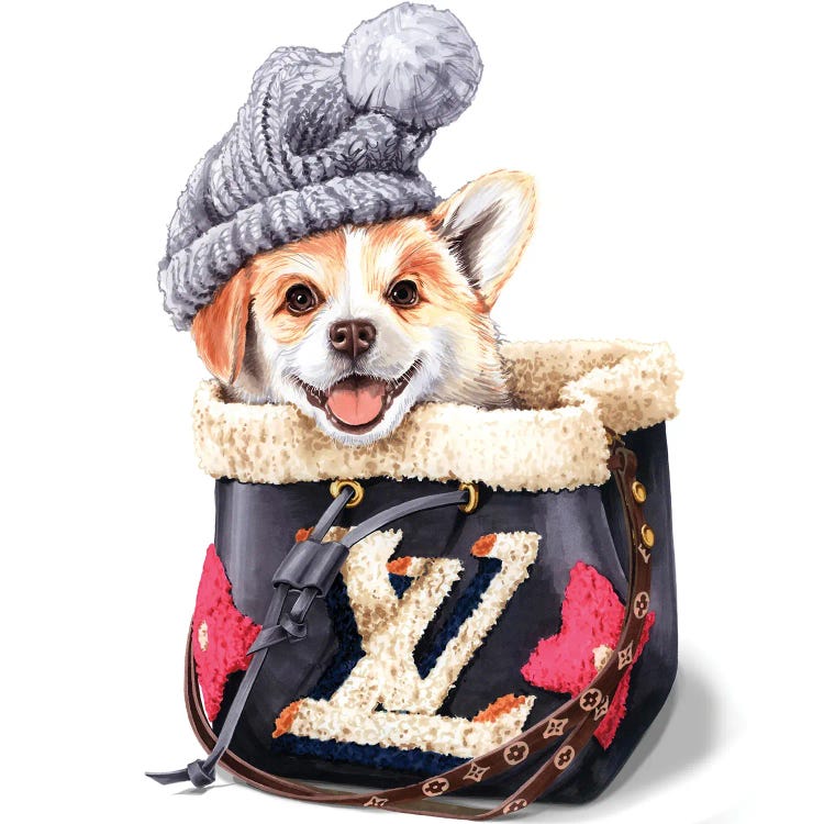 Corgi In Hat And LV Bag