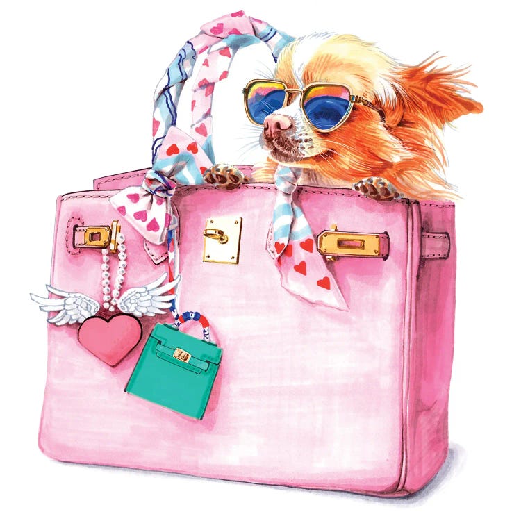 Chihuahua In Sunglusses And Hermes Bag