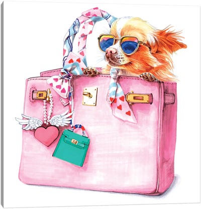 Chihuahua In Sunglusses And Hermes Bag Canvas Art Print