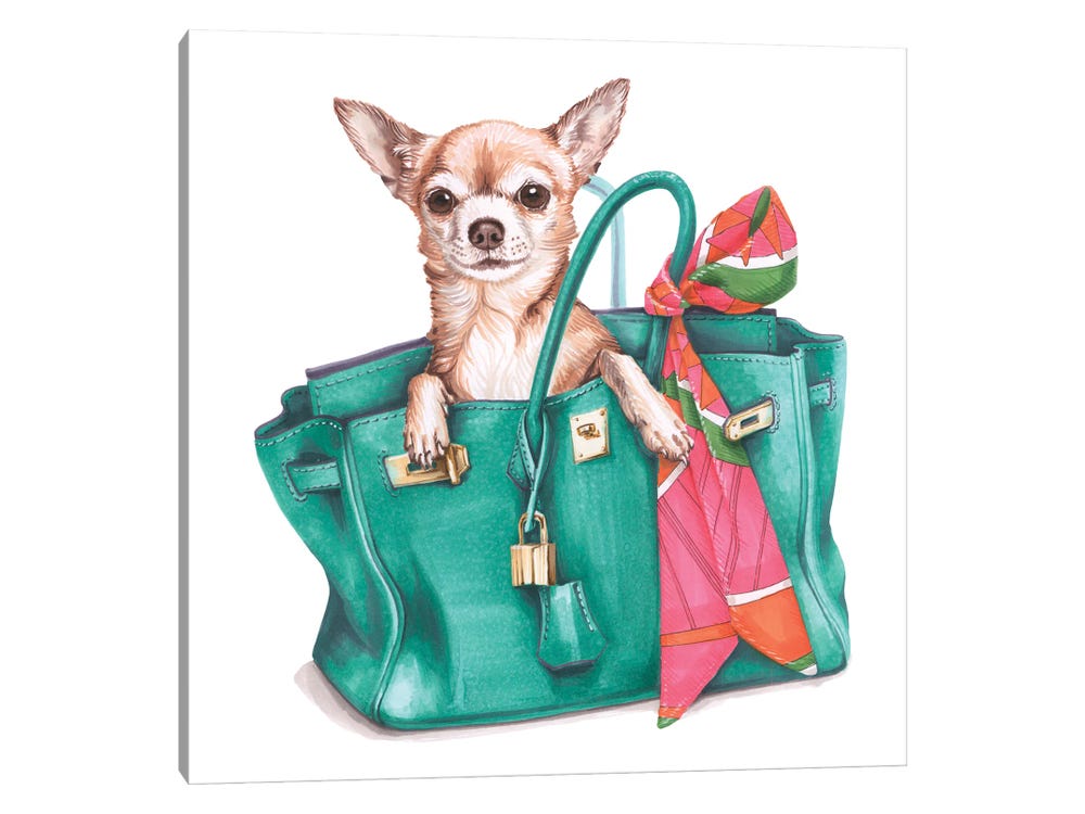 DOG.Chihuahua in handbag available as Framed Prints, Photos, Wall Art and  Photo Gifts