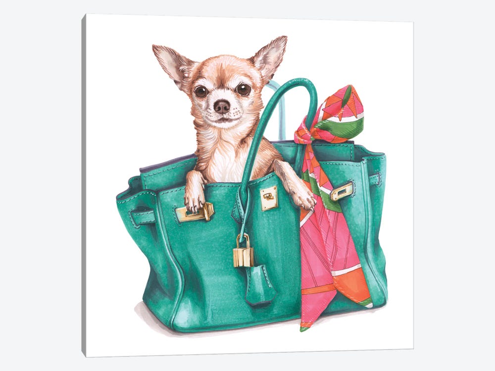 Chihuahua Jane In Hermes Birkin Bag by Elizaveta Molchanova 1-piece Canvas Print
