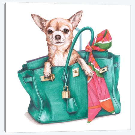 Chihuahua Jane In Hermes Birkin Bag Canvas Print #EZV9} by Elizaveta Molchanova Canvas Art