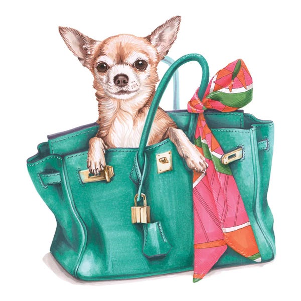 Fashion Is Life: Chihuahua Jane In Hermes Birkin Bag by Elizaveta Molchanova
